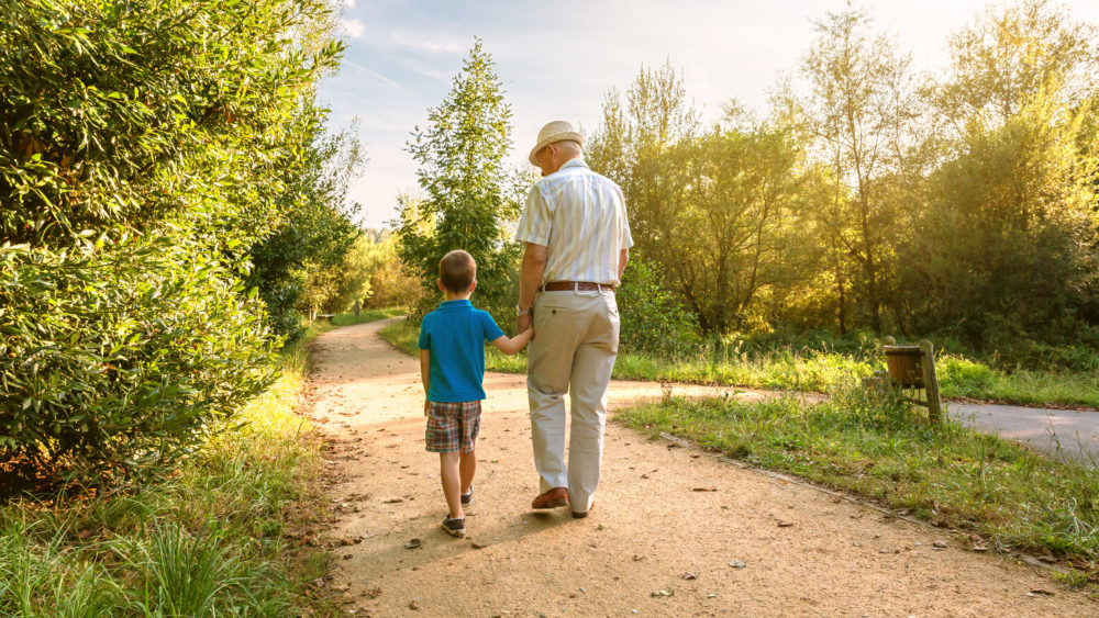 A grandfather and grandchild walking through a park.