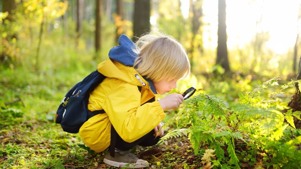 A boy using a magnifying glass in the woods.