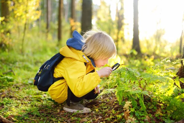 A boy using a magnifying glass in the woods.